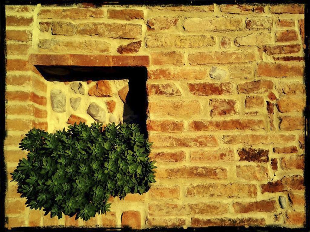 B&B Al Castello Fabro Bagian luar foto