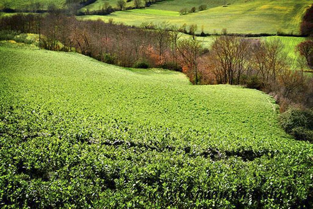 B&B Al Castello Fabro Bagian luar foto